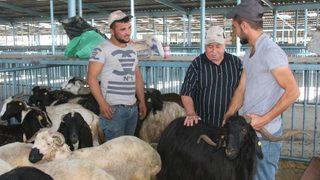 Bayrama Sayılı Günler Kala Hayvan Pazarında Durgunluk Yaşanıyor