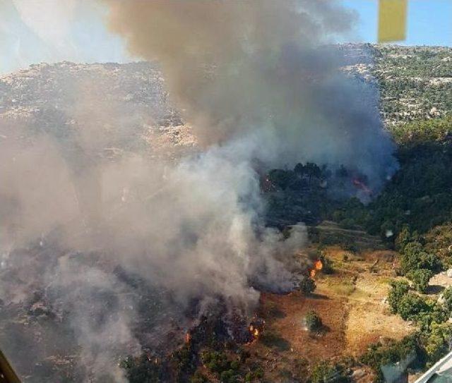 Ziraat Arazisinde Çıkan Yangın Ormana Sıçradı