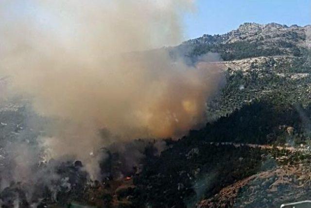 Ziraat Arazisinde Çıkan Yangın Ormana Sıçradı