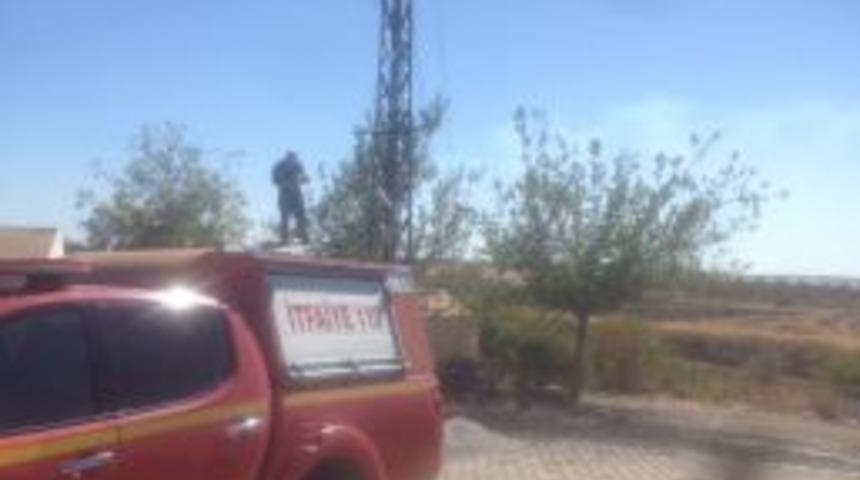 Yanan Leylek Yuvasını İtfaiye Ekipleri S&ouml;nd&uuml;rd&uuml;