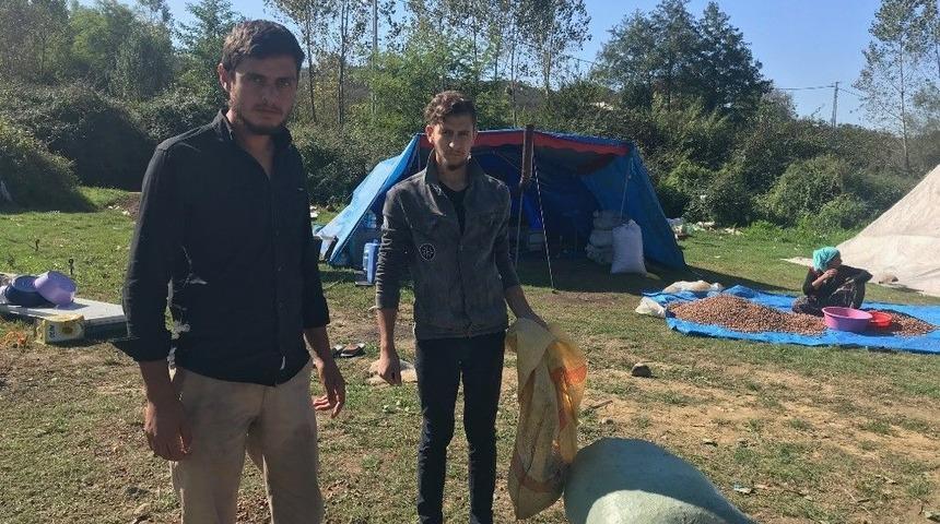 (&ouml;zel Haber) Fiyatları Protesto Etmek İ&ccedil;in Fındığı Ateşe Verdiler