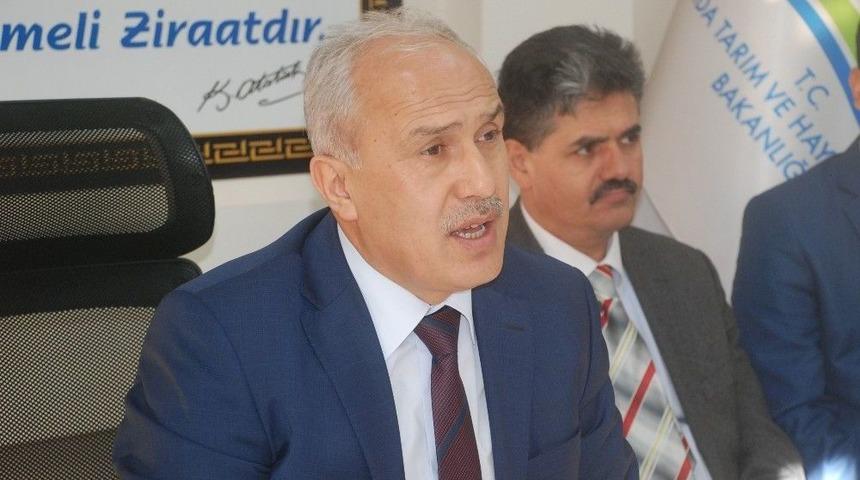 Tokat&rsquo;ta,"buzağılar &Ouml;lmesin, İşletmeler Boş Kalmasın" Projesi