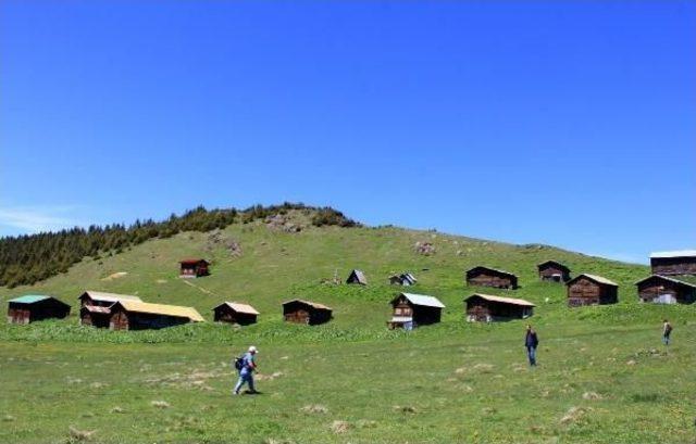 Rize'de Özenle Korunan Yayla