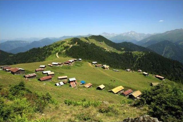 Rize'de Özenle Korunan Yayla