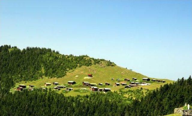 Rize'de Özenle Korunan Yayla