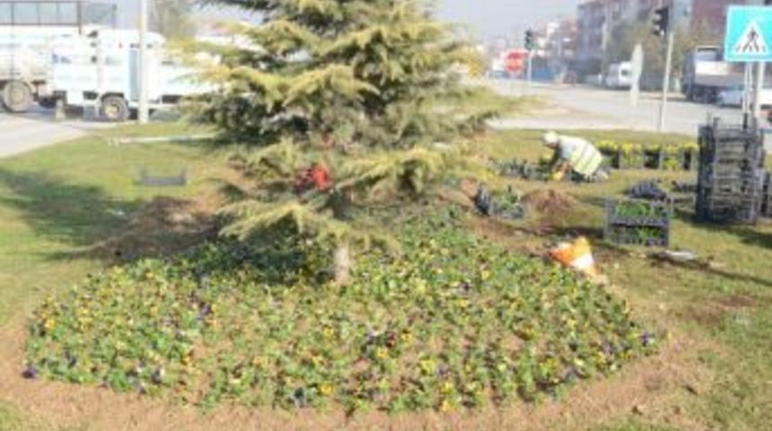 Mevsimlik &Ccedil;i&ccedil;ek Dikimi Başladı