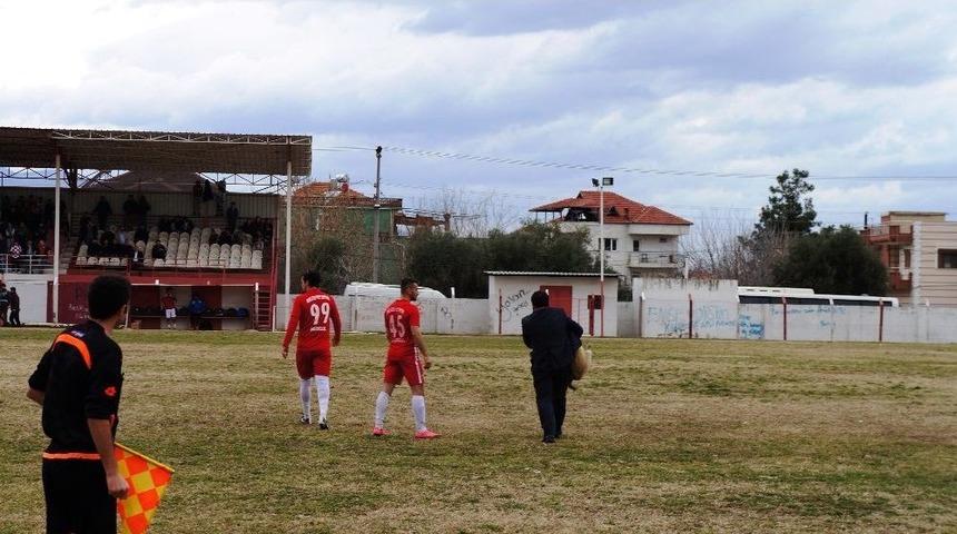 Maça Damgasını Vuran Köpek
