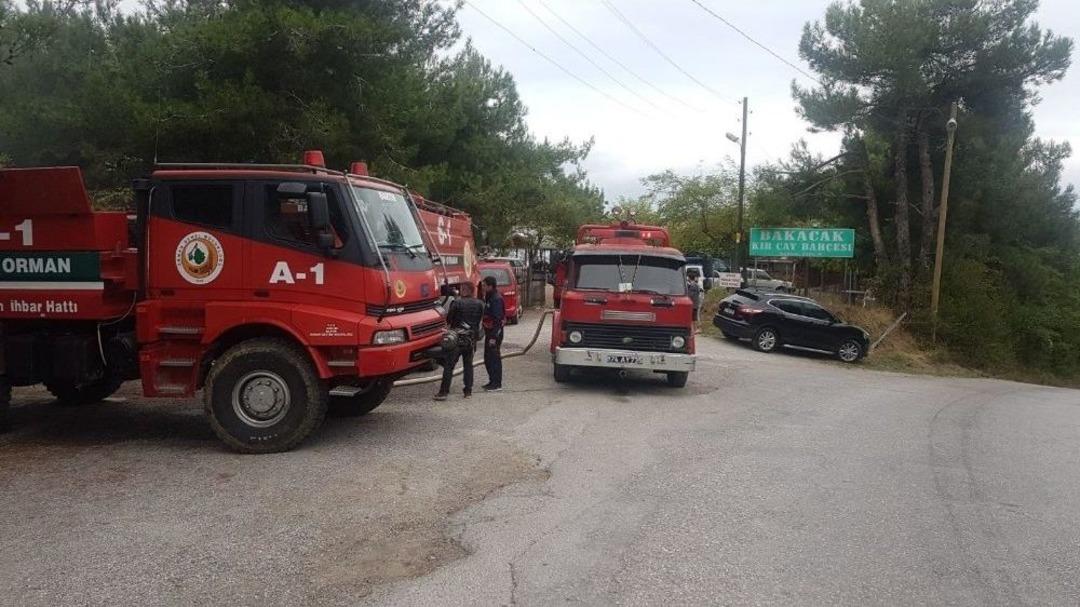 Amasra&rsquo;da Orman Yangını