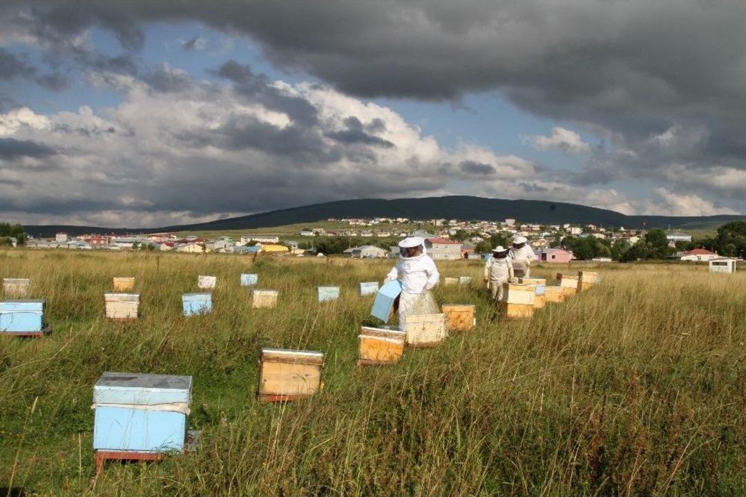 Sağanak Yağmur Bal Verimini D&uuml;ş&uuml;rd&uuml;