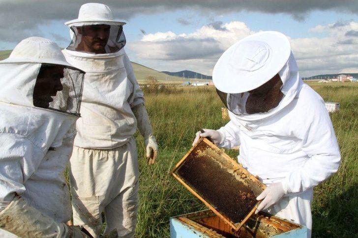 Sağanak Yağmur Bal Verimini Düşürdü G4