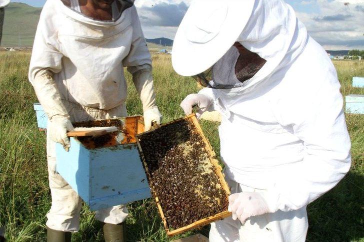 Sağanak Yağmur Bal Verimini Düşürdü G5