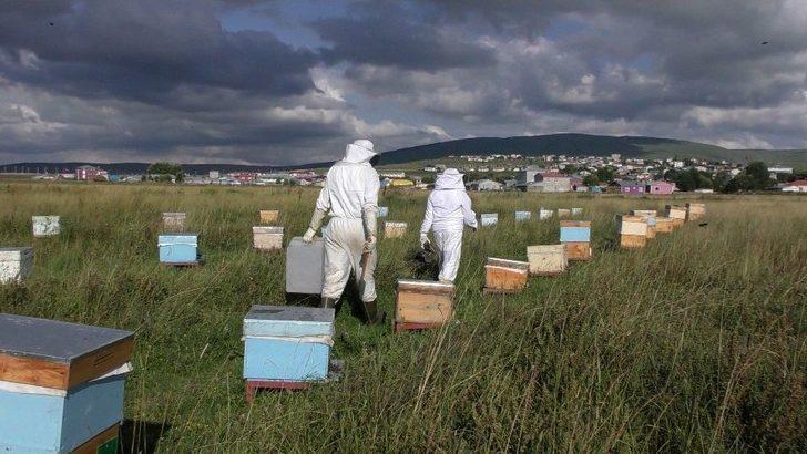 Sağanak Yağmur Bal Verimini Düşürdü G1