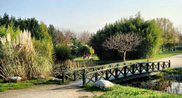 Melikgazi Belediyesi’nden Botanik Park