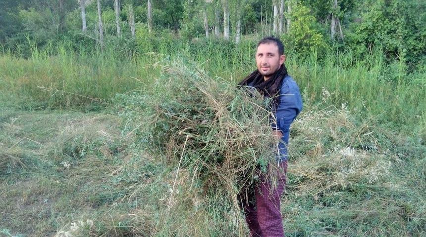 &Ccedil;ift&ccedil;iden Dolar Ve Altının Y&uuml;kselişine Tepki