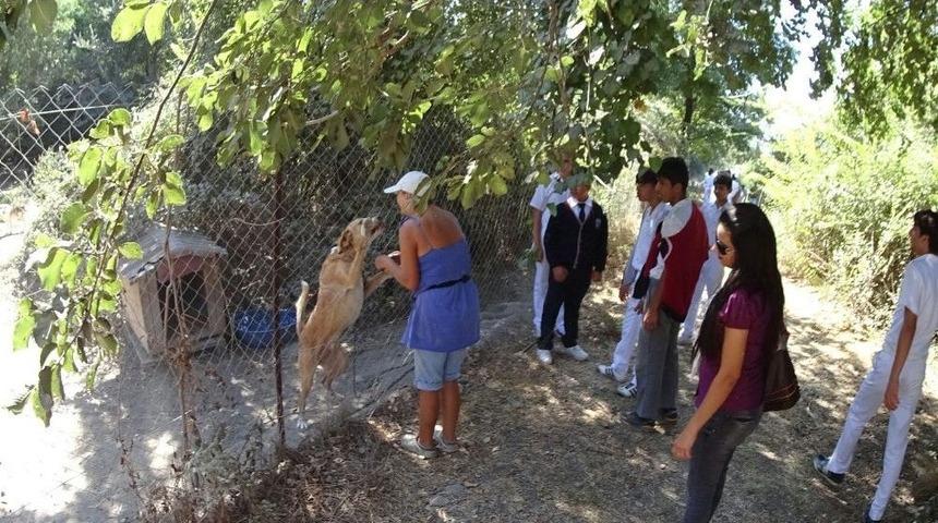 K&ouml;yceğizli &Ouml;ğrenciler Hayvan Barınağını Ziyaret Etti