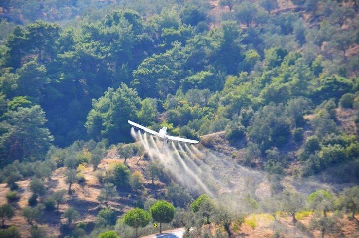 Havadan İlaçlama İle Ülke Ekonomisine 31.5 Milyon Lira Katma Değer Sağlanacak G2