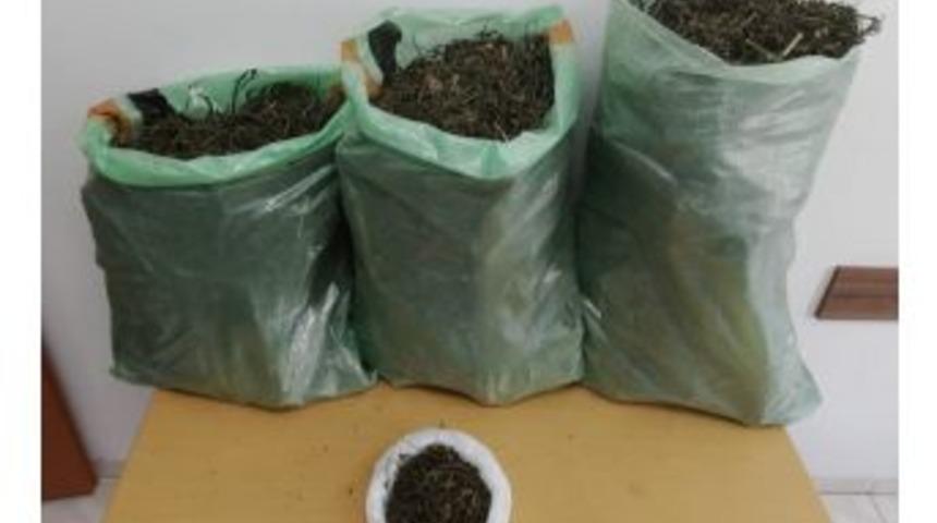 Sakarya&rsquo;da 11 Kilogram 900 Gram Esrar Ele Ge&ccedil;irildi