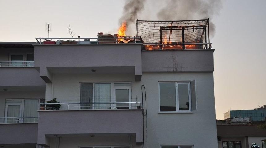 Bursa&rsquo;da &Ccedil;ıkan Yangında 50 Bin Liralık G&uuml;vercin Telef Oldu