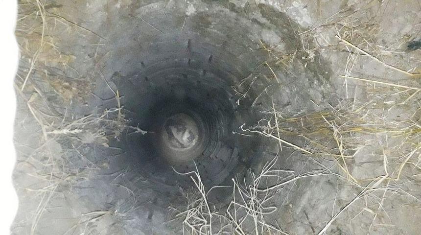 Su Kuyusuna D&uuml;şen Ke&ccedil;iyi İtfaiye Kurtardı