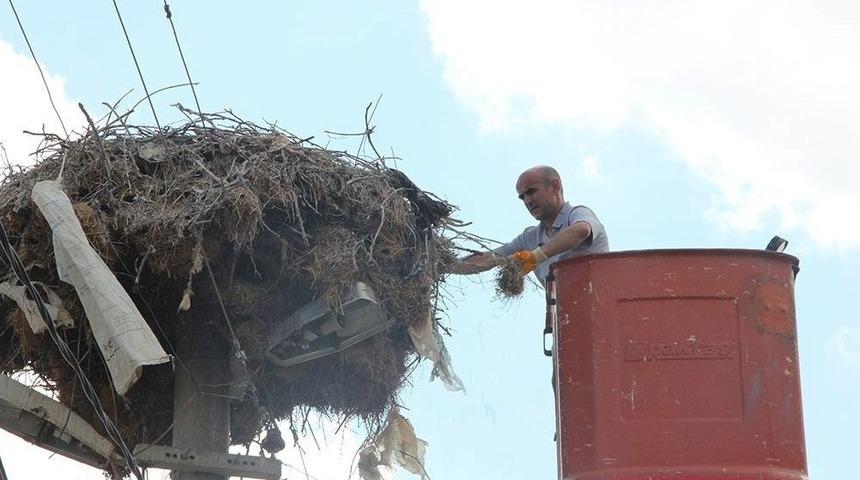 Isparta’da Leylekler İçin Özel Yuva