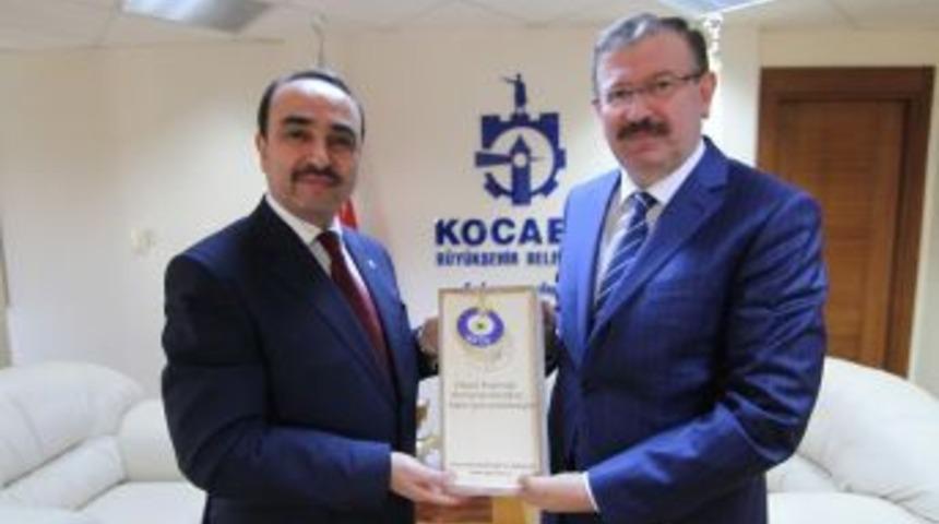 Kocaeli&rsquo;de 13 Yılda 7 Milyon 675 Bin Ağa&ccedil; Dikildi