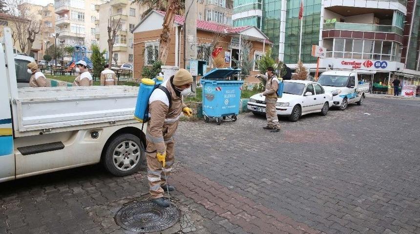 Haliliye&rsquo;den Selahattin Eyyubi&rsquo;de İla&ccedil;lama Ve Budama &Ccedil;alışması