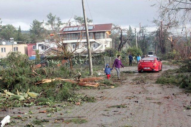 70 Tavuktan Bir Tek O Telef Olmadı