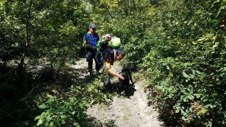 Koyununu Kaybeden Küçük Çoban Dağa Kaçtı G4