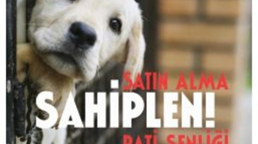 Pati Şenliği Başlıyor