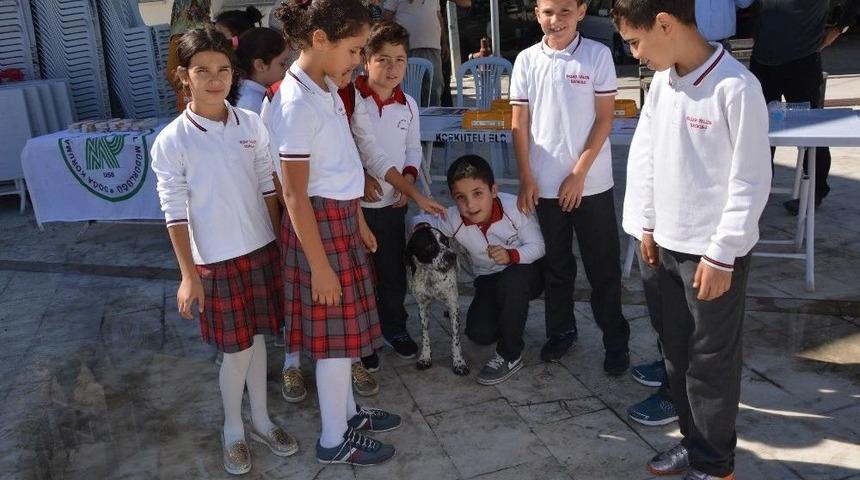 Sokak Hayvanları İ&ccedil;in Su Ve Mama Kabı Dağıtıldı