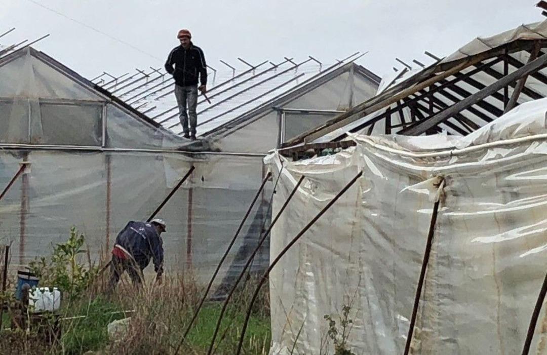 Alanya&rsquo;da Oluşan Hortum Seralara Zarar Verdi