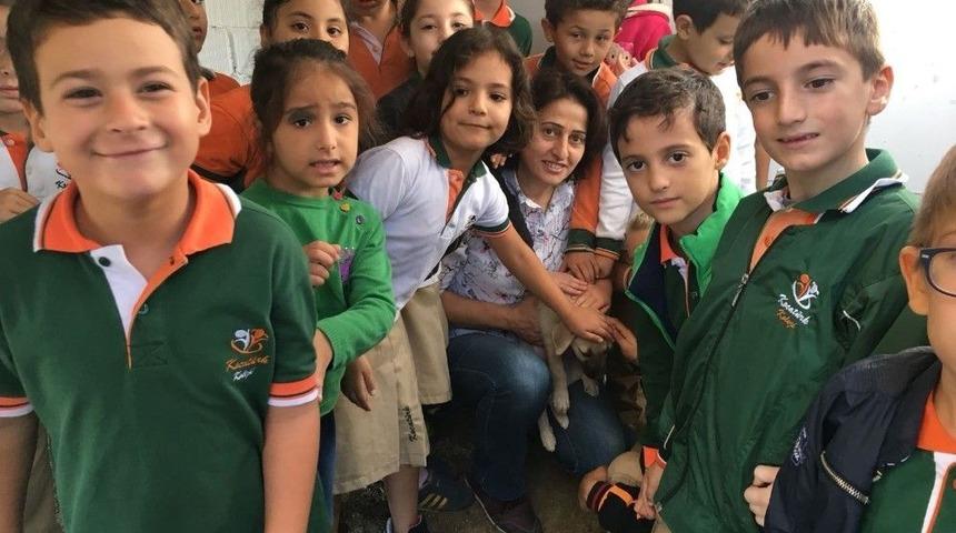 Hayvanları Koruma G&uuml;n&uuml;&rsquo;nde Barınağa Akın Ettiler