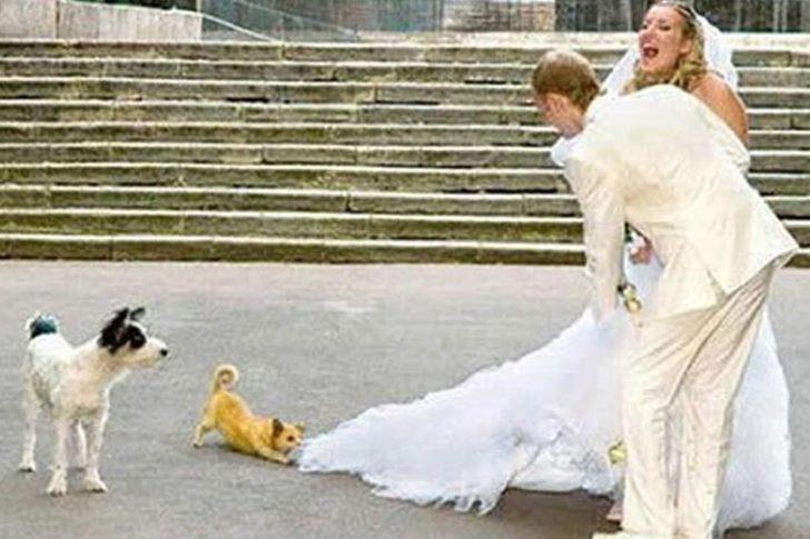 Çılgın gelinler! G2