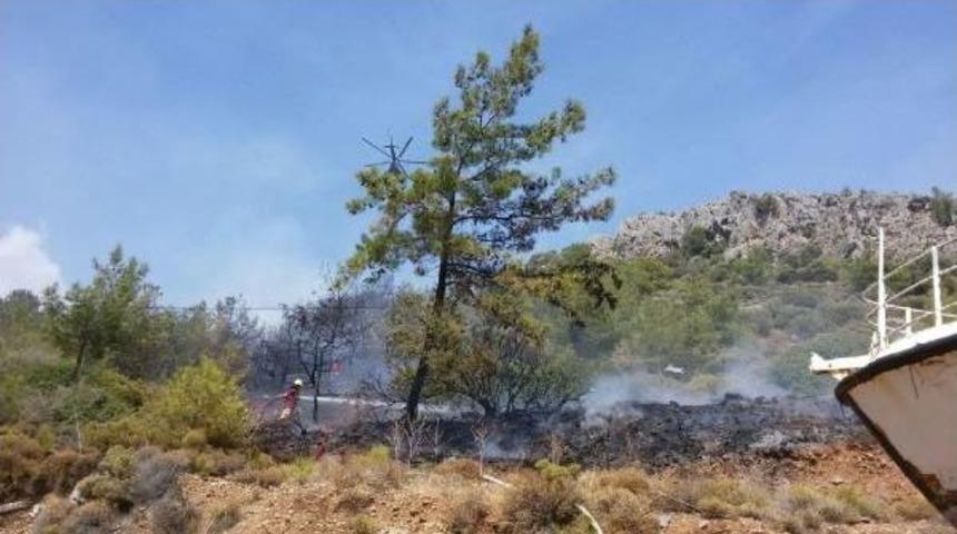 Datça'da 5 Dönüm Kızılçam Ormanı Yandı