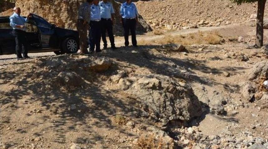 Dere Yatağında Başları Kesilmiş 2 Yavru K&ouml;pek Bulundu