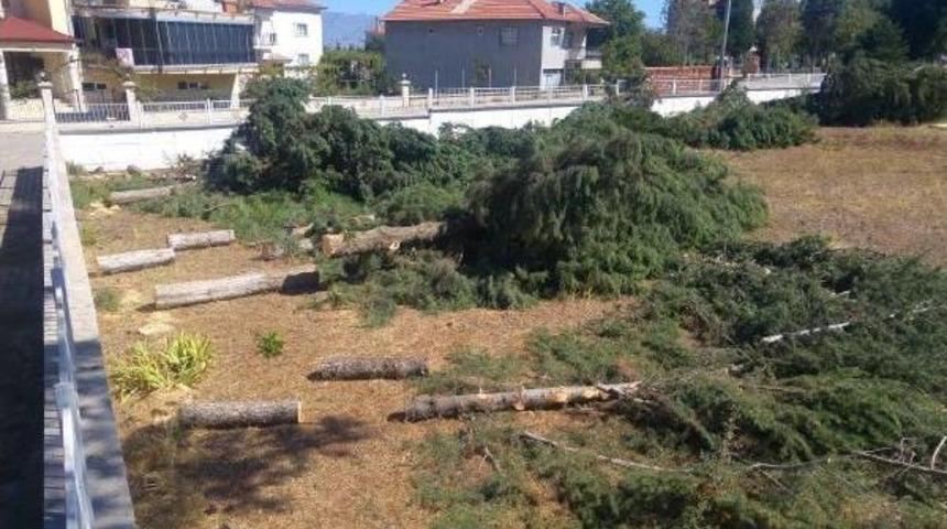 Meteorolojik &Ouml;l&ccedil;&uuml;mleri Daha Iyi Yapmak I&ccedil;in Ağa&ccedil;ları Kestiler