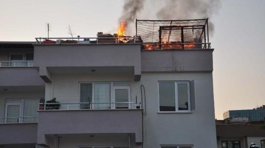 Karacabey'de &Ccedil;ıkan Yangında 50 G&uuml;vercin Telef Oldu