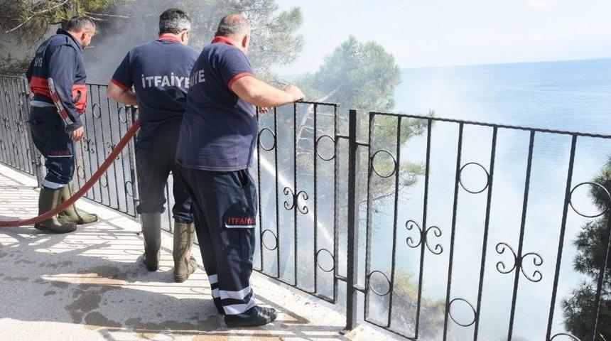 Sinop’ta Orman Yangını