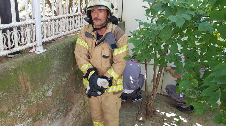 İstinat Duvarı Arasında Bulunan Boruya Sıkışan Kedi B&ouml;yle Kurtarıldı