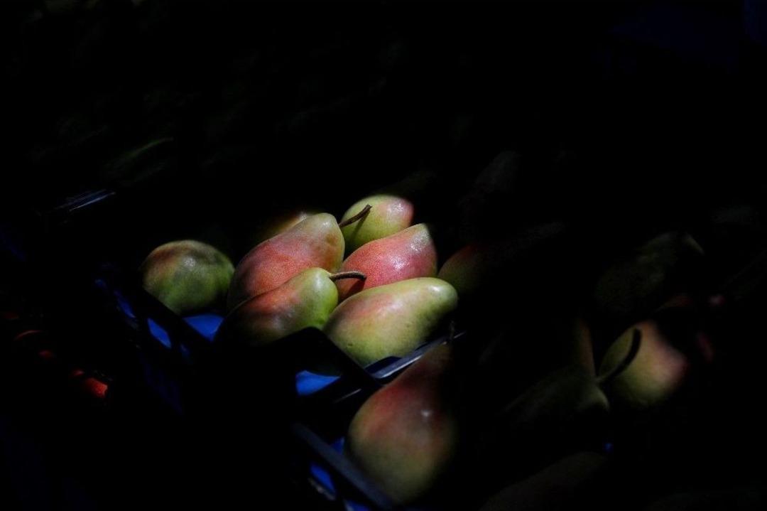 G&uuml;rsu&rsquo;da Armut Festivali Coşkusu