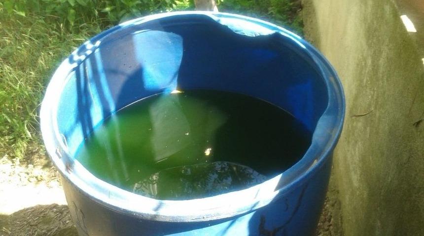 K&ouml;rfez&rsquo;de Sivrisinekle M&uuml;cadele