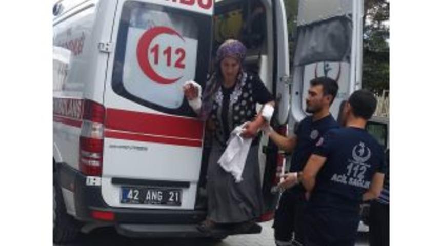 Beslediği Köpek Hastanelik Etti