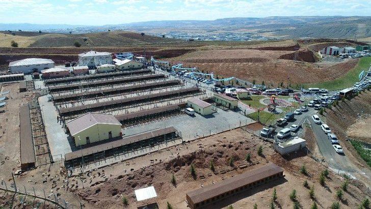 Sokak Hayvanlarına 7,5 Milyon Liralık Yeni Yuva G1