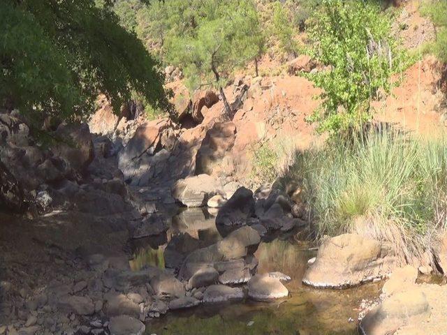 5 Hainin &Ouml;ld&uuml;r&uuml;ld&uuml;ğ&uuml; B&ouml;lge İlk Kez G&ouml;r&uuml;nt&uuml;lendi 1