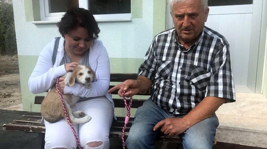 Muhtar Sokak K&ouml;peklerini Sahiplendiriyor