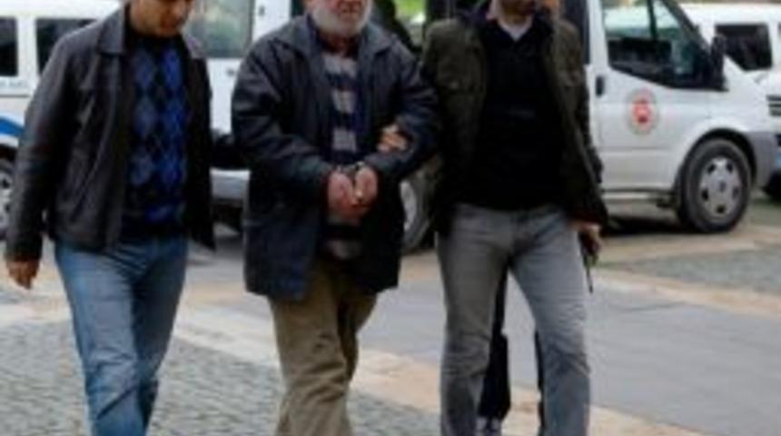 Giresun’da Baygın Köpeği Ölmesi İçin Otoyola Atan Şahıs Tutuklandı