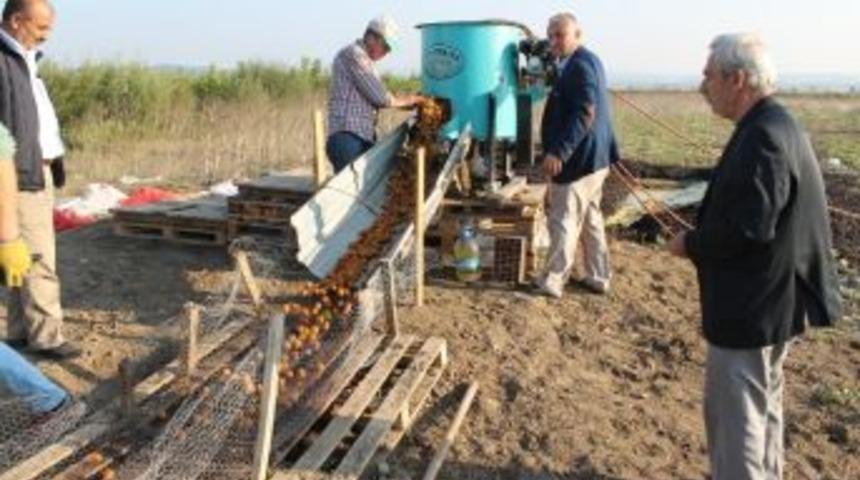 Cevizin İ&ccedil;i De, Dışı Da, Suyu Da Kazandırıyor