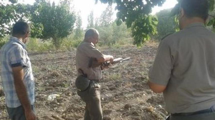 Ka&ccedil;ak Avcılara Ceza Yağdı