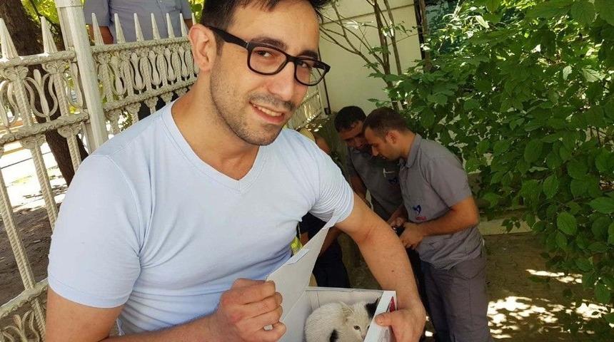 (&ouml;zel) Gittikleri Hastanede Kedi Sahiplendiler