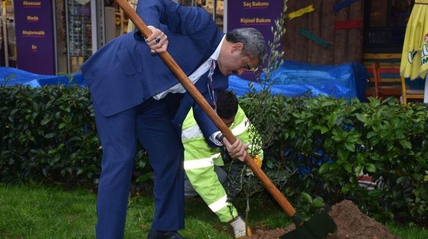Başkan Alıcık, Zeytin Dalı Harekatına Fidan Dikerek Destek Verdi